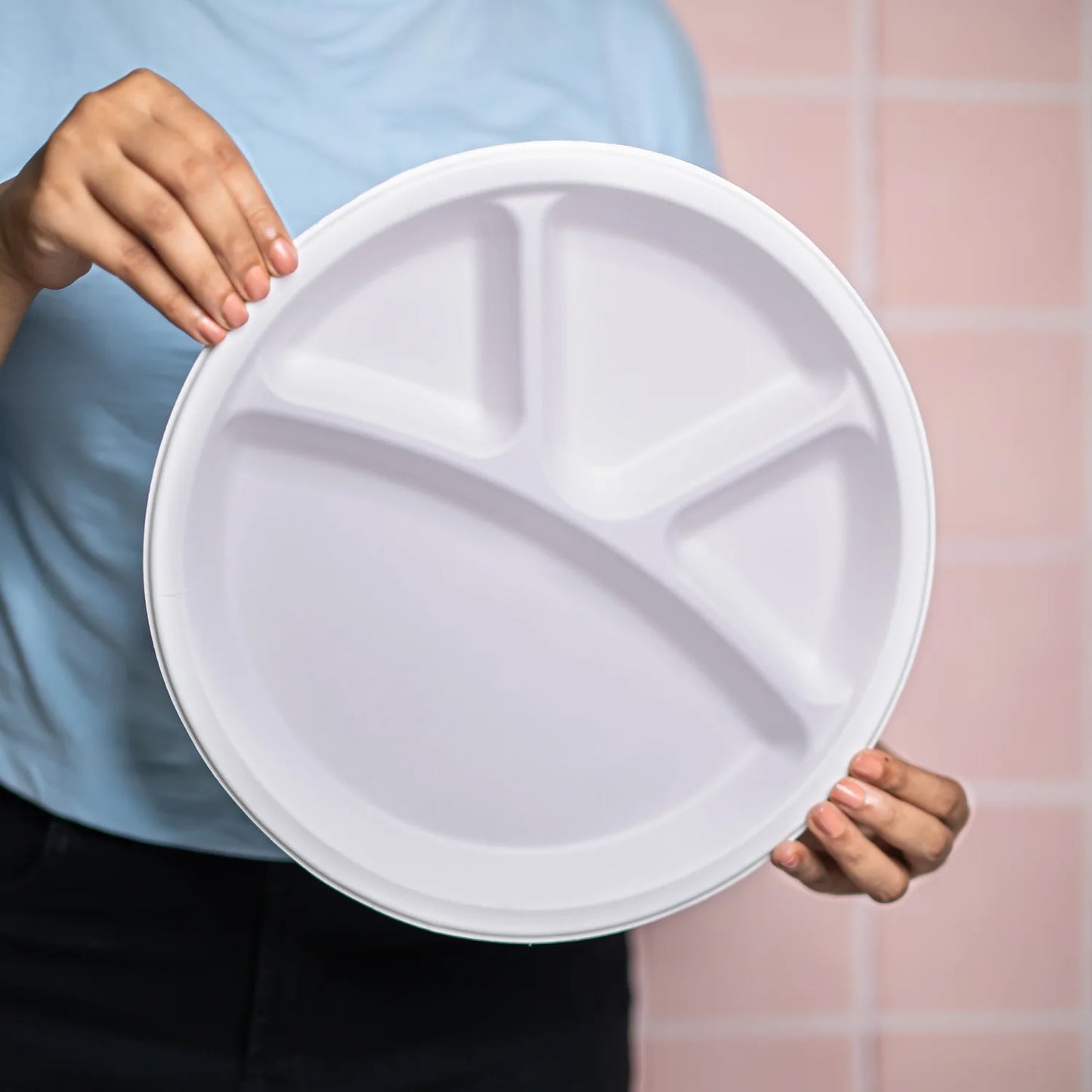 Alternuts 4 compartment Disposable Plate (11 inch)