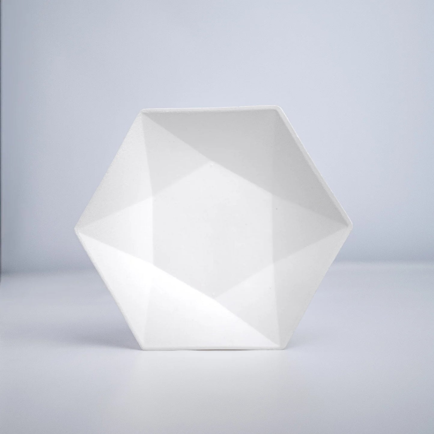 Alternuts Hexagon Disposable Plate (6 Inch)
