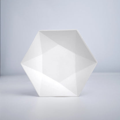 Alternuts Hexagon Disposable Plate (6 Inch)