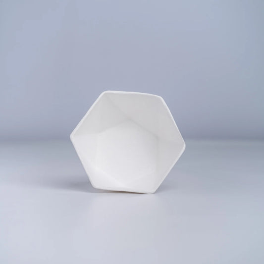 Alternuts Hexagon Disposable Bowl (180 ml)