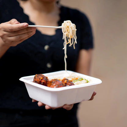 Alternuts Rectangular Takeaway Disposable Food Container with Lid - 750 ml.