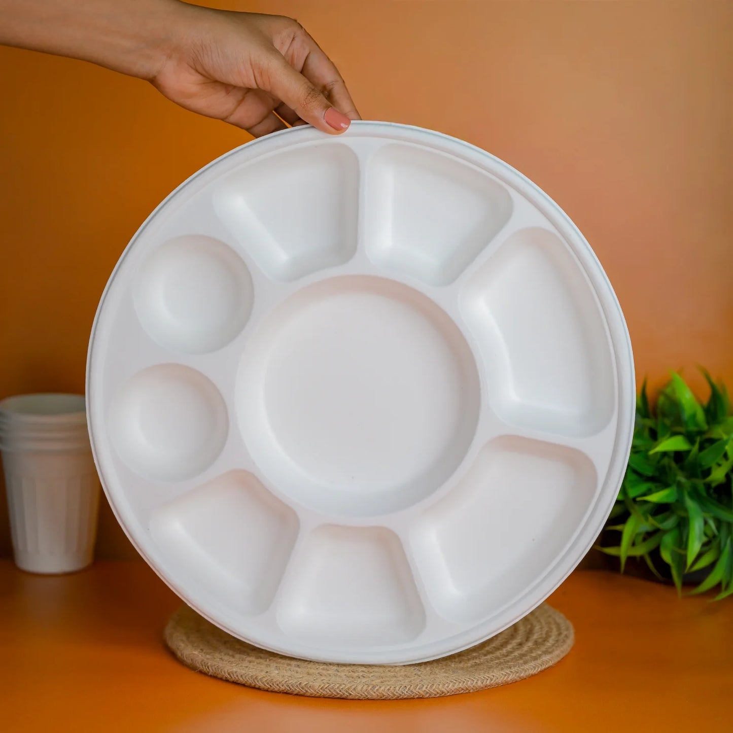 Alternuts 9 compartment Disposable Plate (13 inch)