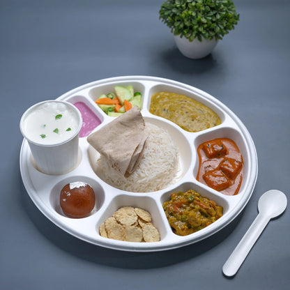 Alternuts 9 compartment Disposable Plate (13 inch)