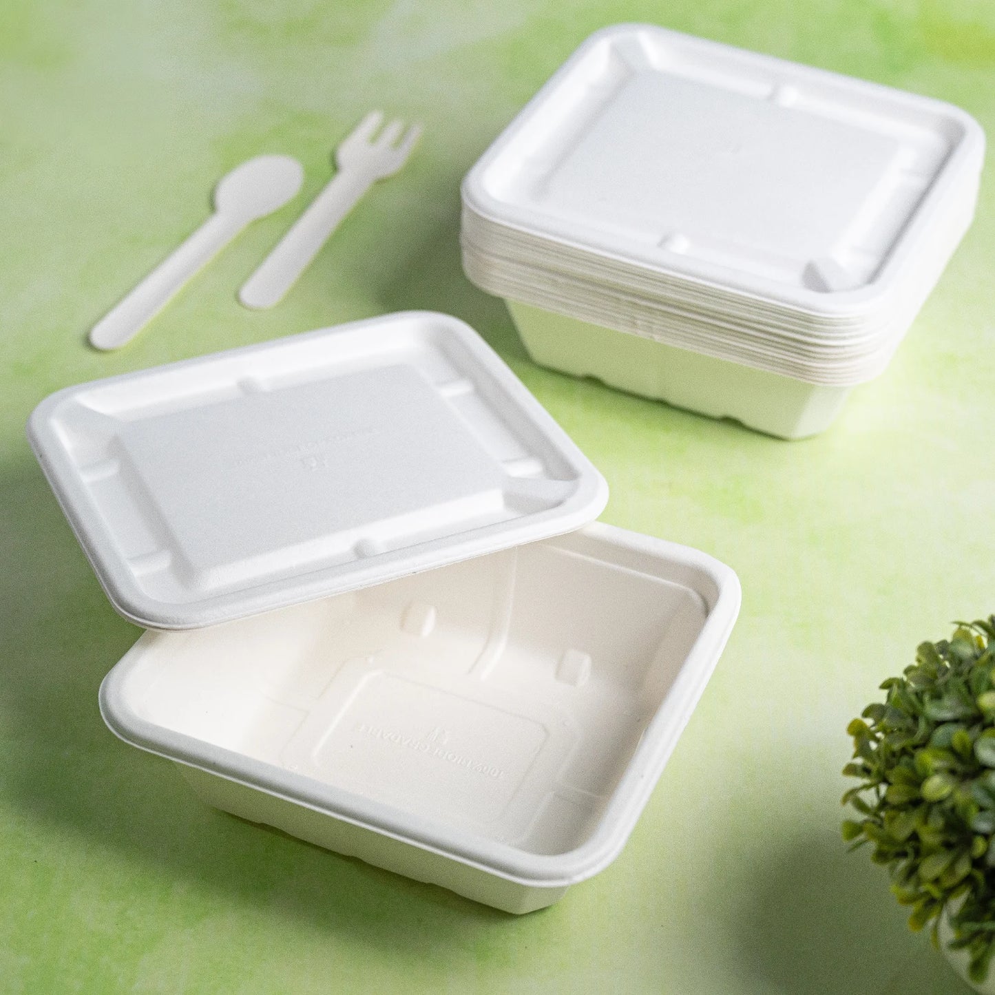 Alternuts Rectangular Takeaway Disposable Food Container with Lid - 750 ml.