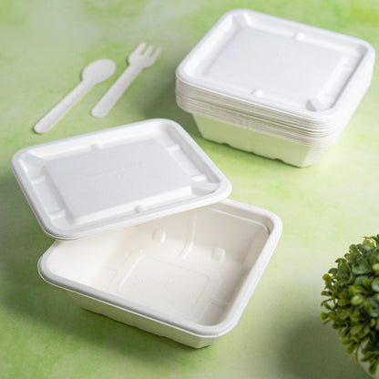 Alternuts Rectangular Takeaway Disposable Food Container with Lid - 750 ml.
