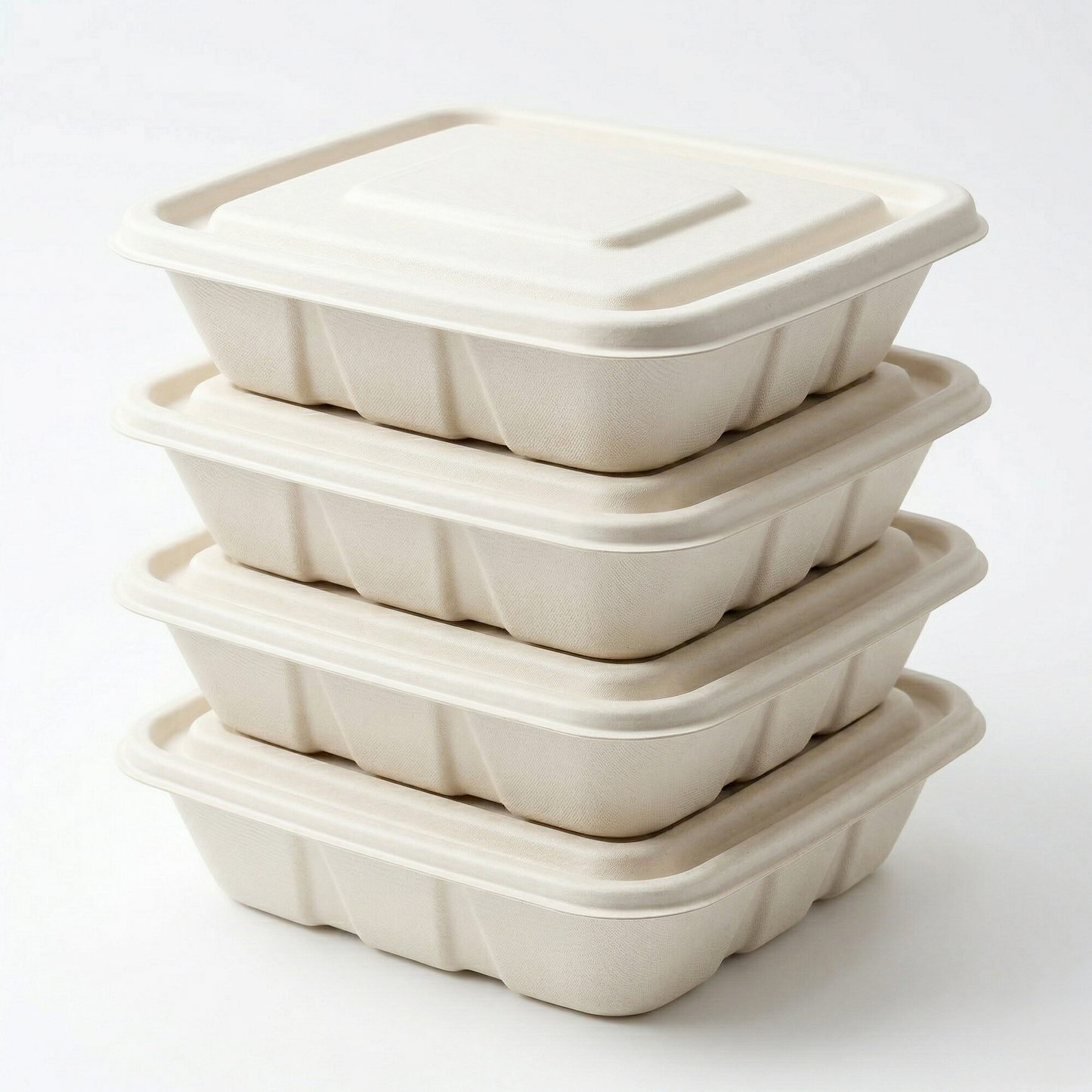 Alternuts Pulp Moulded Disposable 500 ml Rectangular Takeaway Container With Lid ( Pack of 50 )