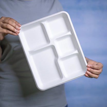 Alternuts 5 Compartment Disposable Meal Tray