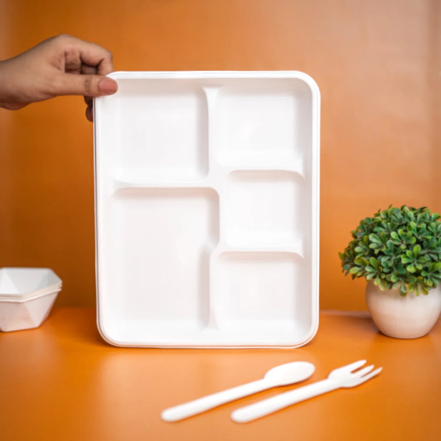 Alternuts 5 Compartment Disposable Meal Tray