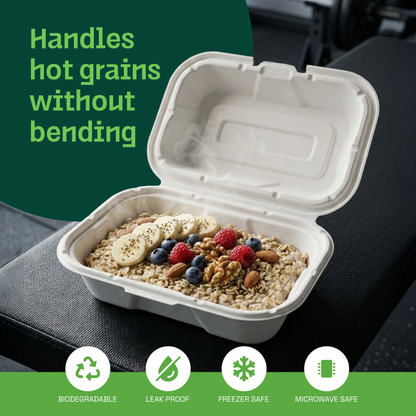 Alternuts Pulp Moulded Disposable 9X6 Clamshell ( Pack of 50 )