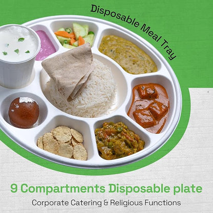 Alternuts 9 compartment Disposable Plate (13 inch)