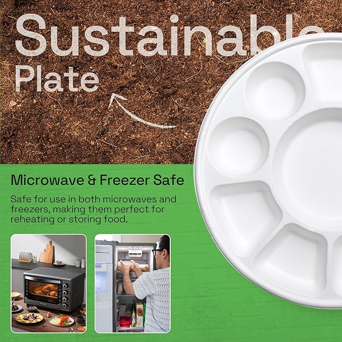 Alternuts 9 compartment Disposable Plate (13 inch)