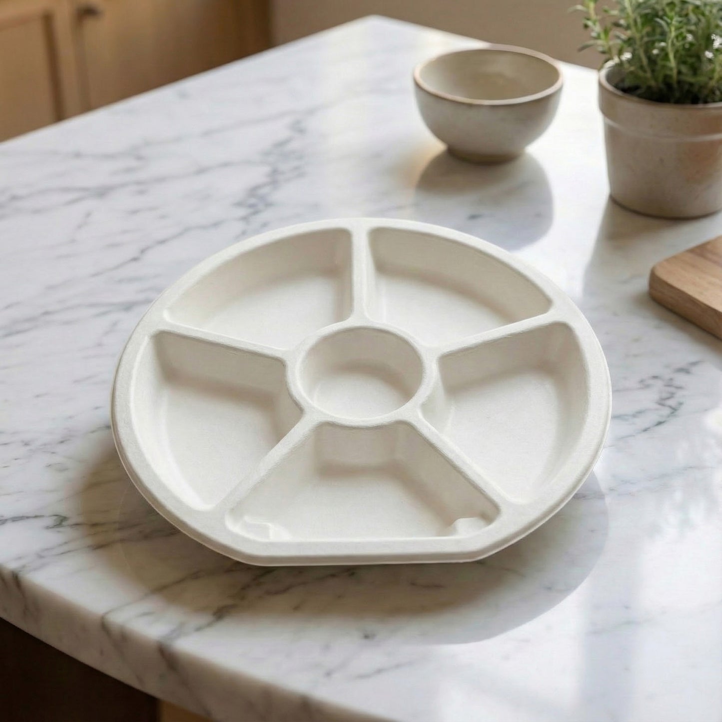 Alternuts 6 compartment Small Disposable Plate (9 inch)