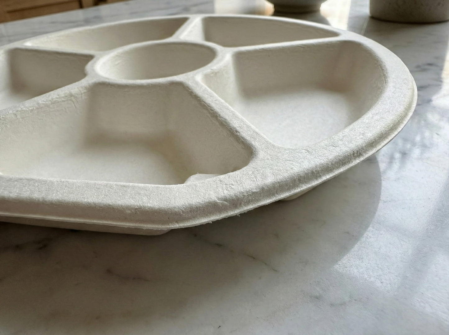 Alternuts 6 compartment Small Disposable Plate (9 inch)